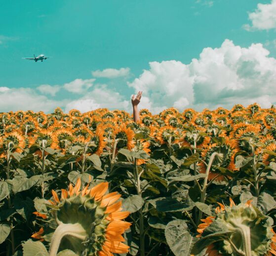 Harm Reduction. Safe Life. CircleActs.org.